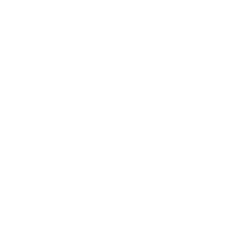 Olympique de Marseille
